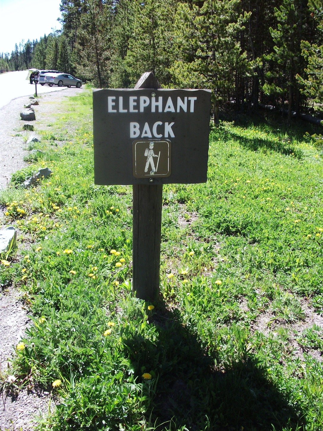 Elephant Back Trail