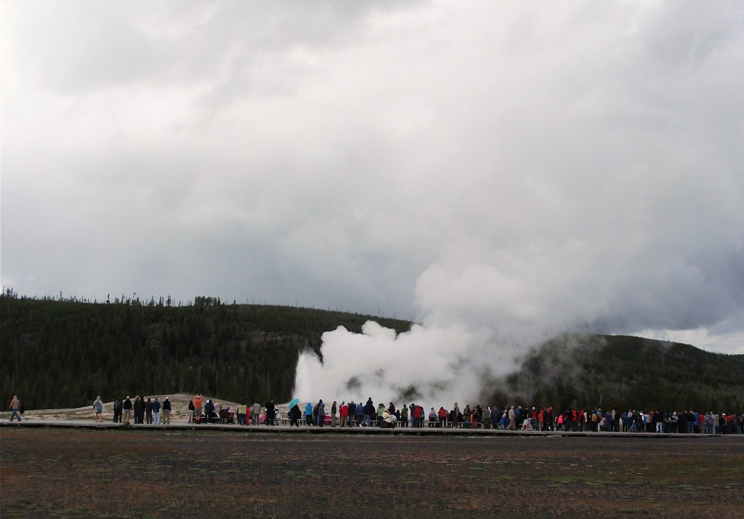 Old Faithful (4)