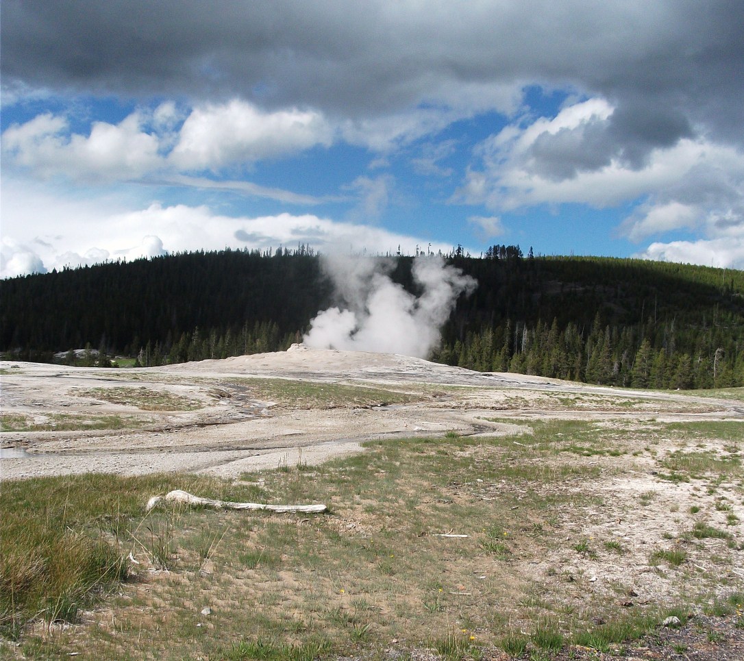 Old Faithful (6)