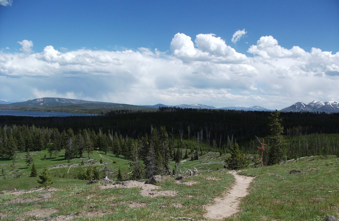 West Thumb Lake Overlook Trail (5)
