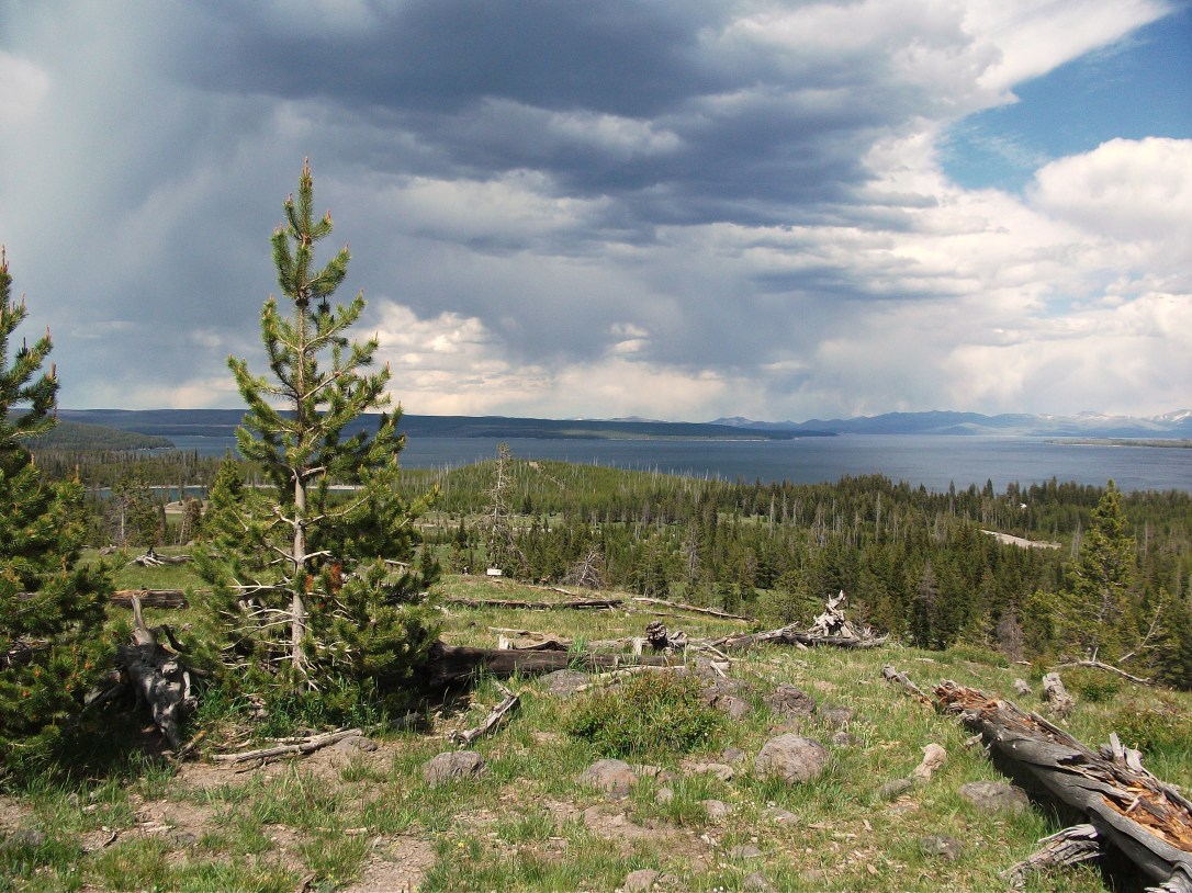 West Thumb Lake Overlook Trail (8)