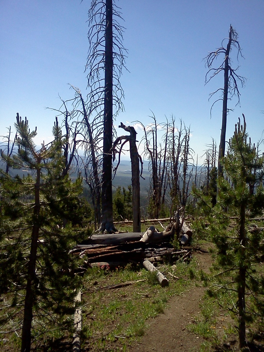 2013-07-10 11.15.18