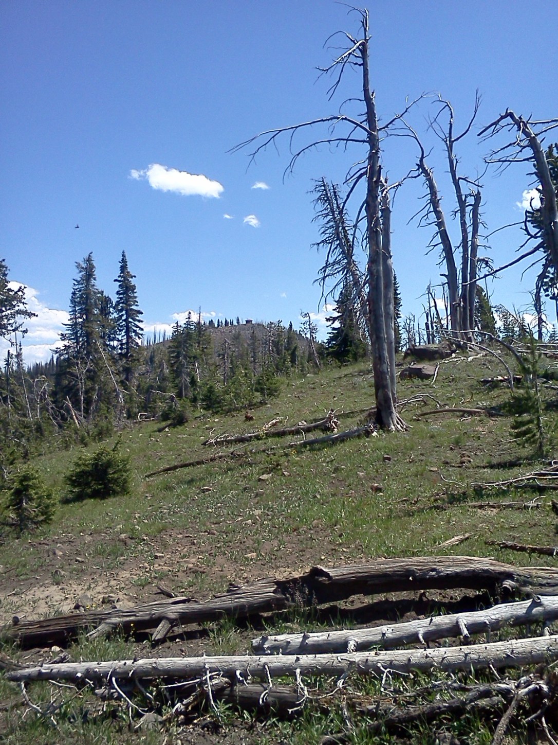 2013-07-10 13.34.36