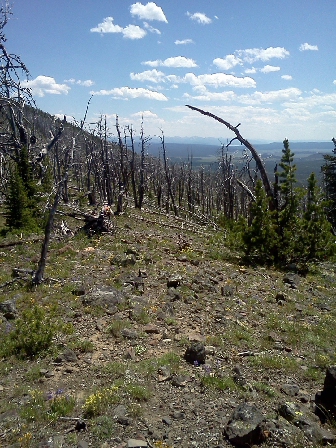 2013-07-10 13.37.53