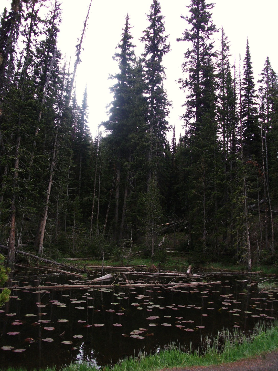 Continental Divide (4)