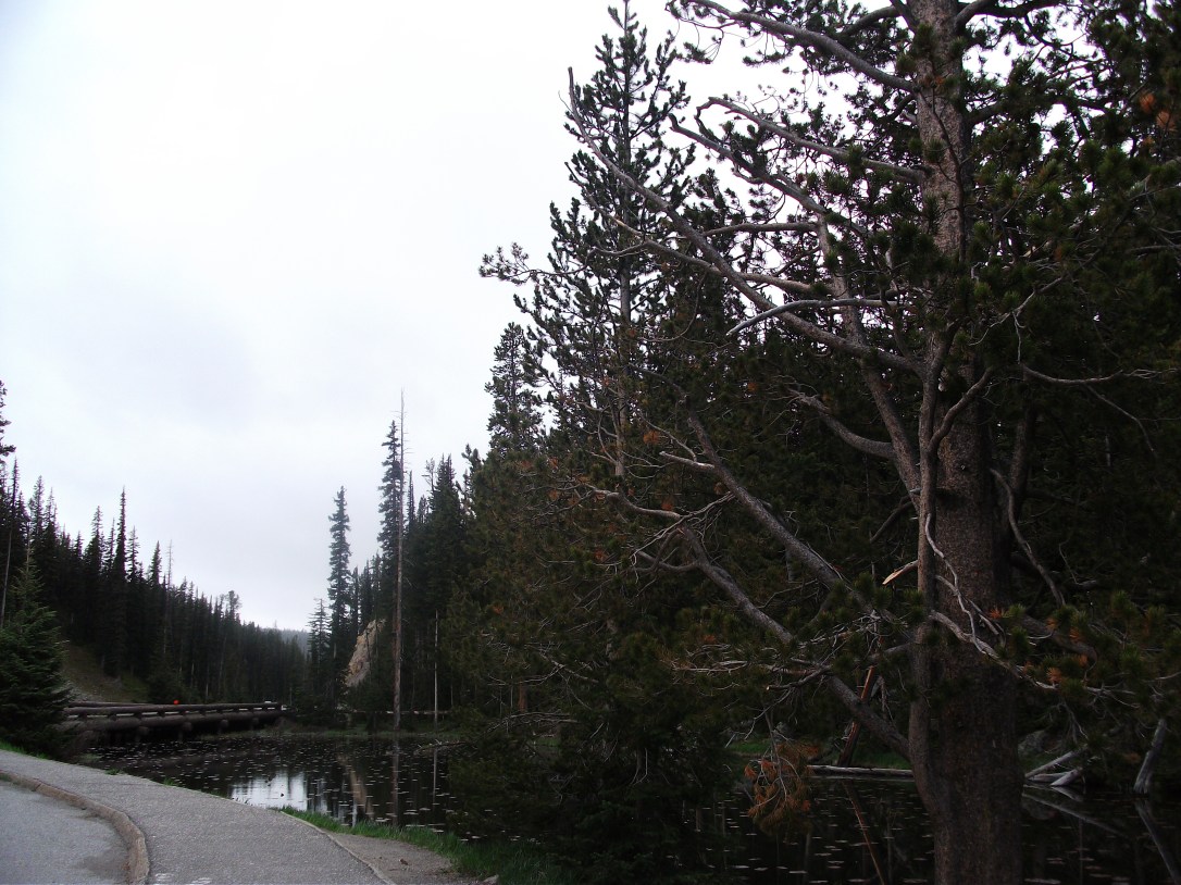 Continental Divide (5)