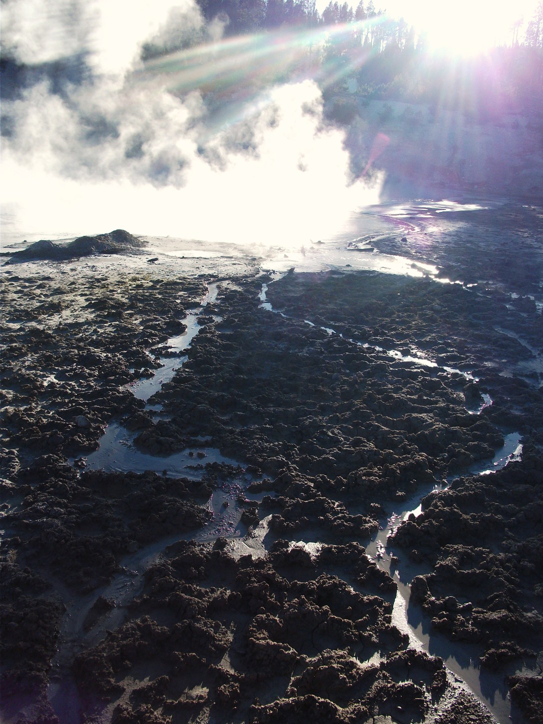 Cooking Hillside (3)