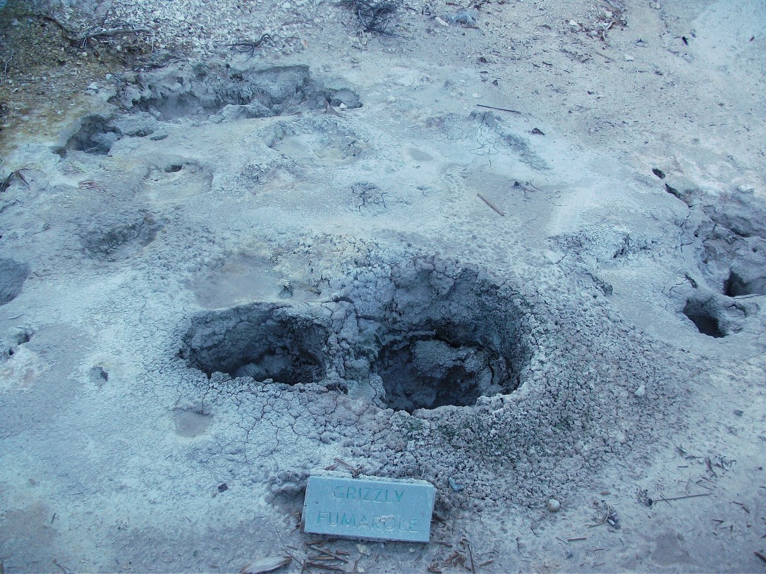 Grizzly Fumarole