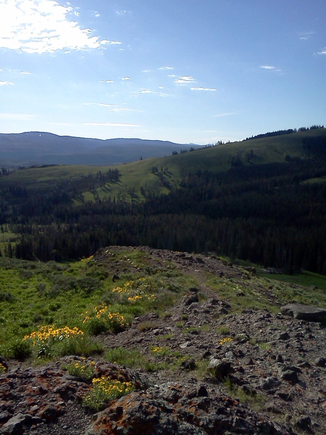 IMG_20130618_092532 (1)