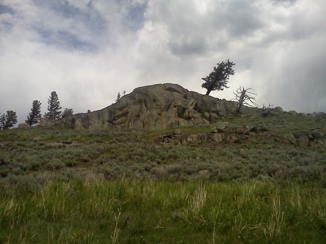 IMG_20130618_150429 (1)