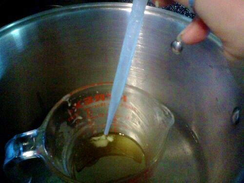 wpid-img_20120405_154700