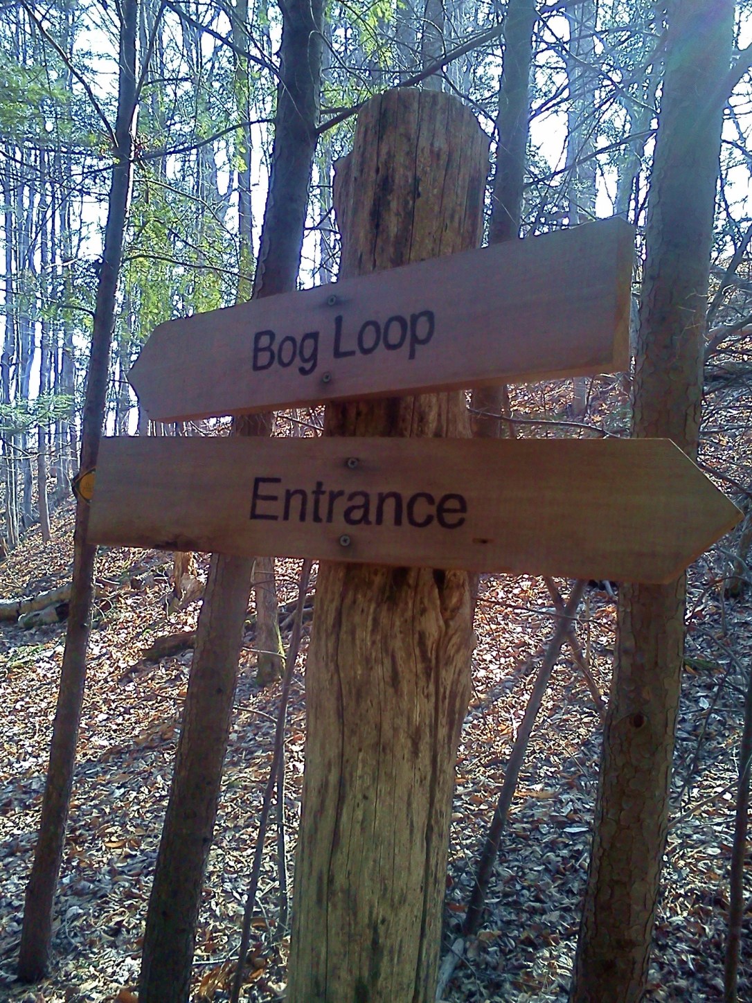 O.D. von Engeln Preserve at Malloryville