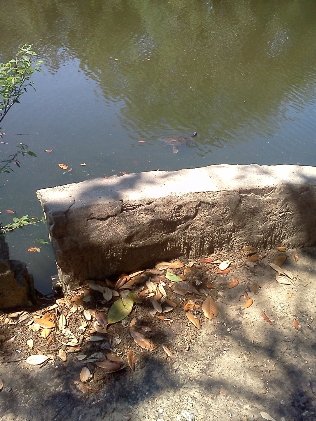 Audubon Park, New Orleans