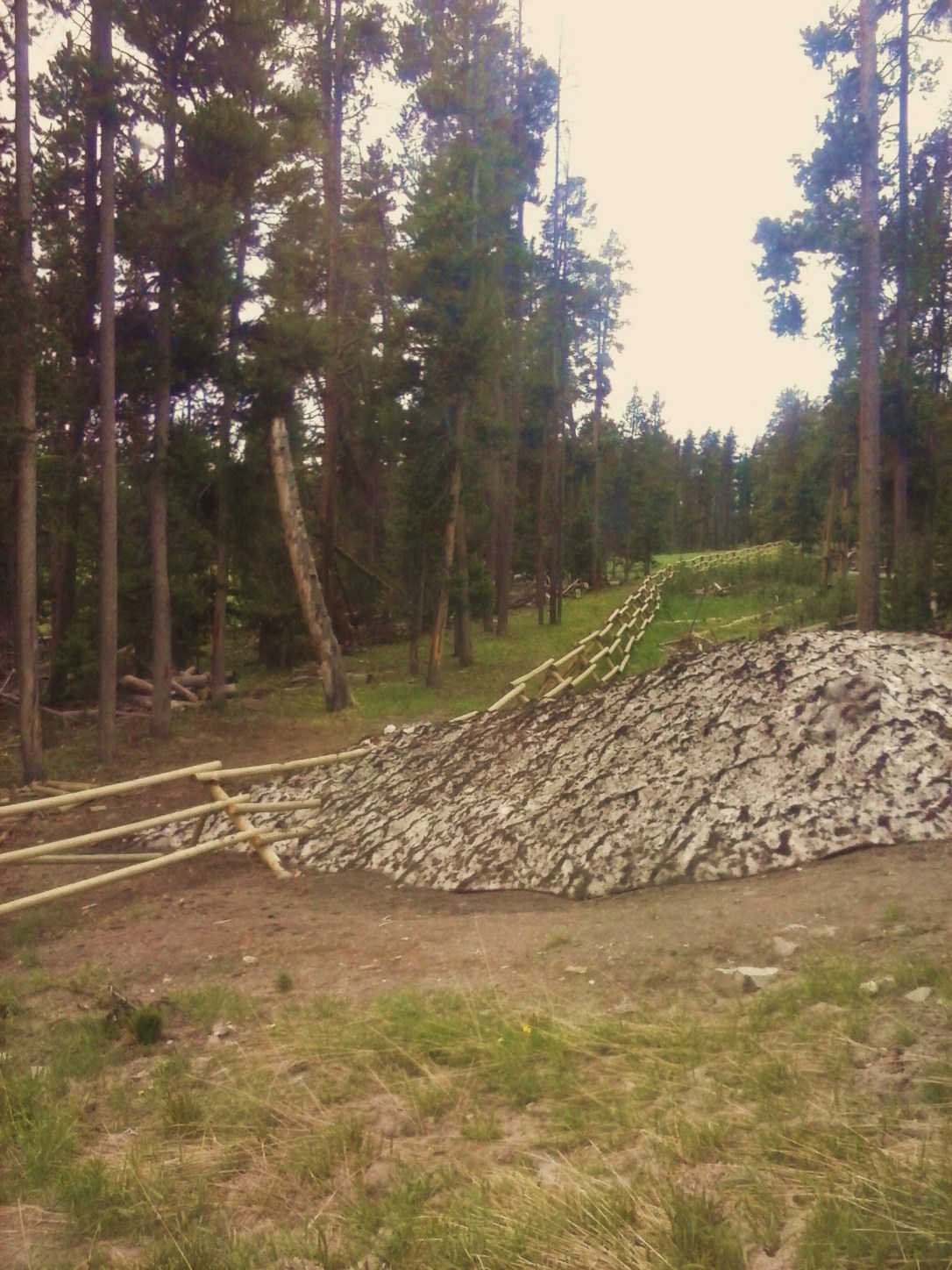 View from my bedroom window