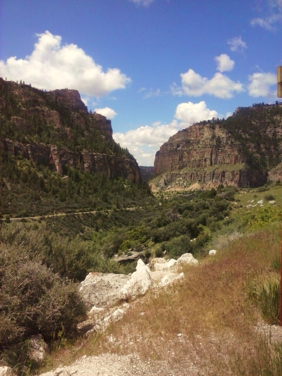 Big Horn National Forest, Wyoming
