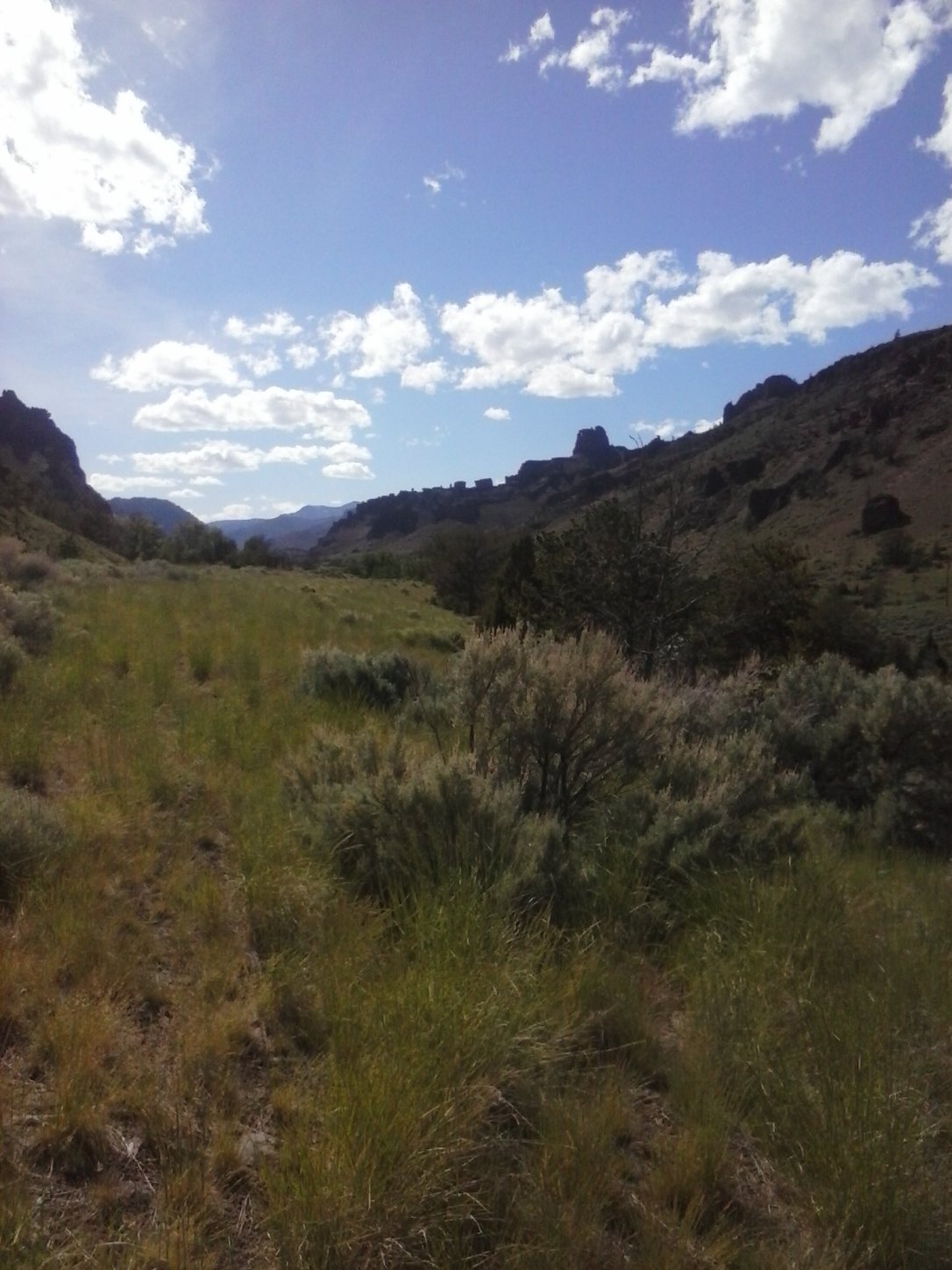 Shoshone National Forest