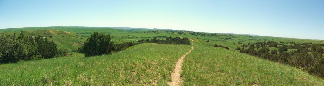 Badlands National Forest
