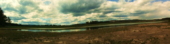 Indian Pond. Home to a ton of toad tadpoles and many, but not as many, spotted frog tads.