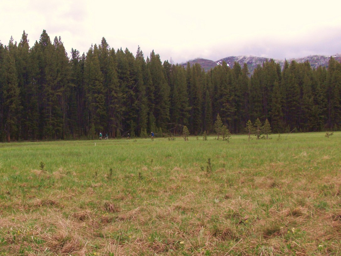 The rest of the crew stomping around the wetland trying to calibrate their equipment.