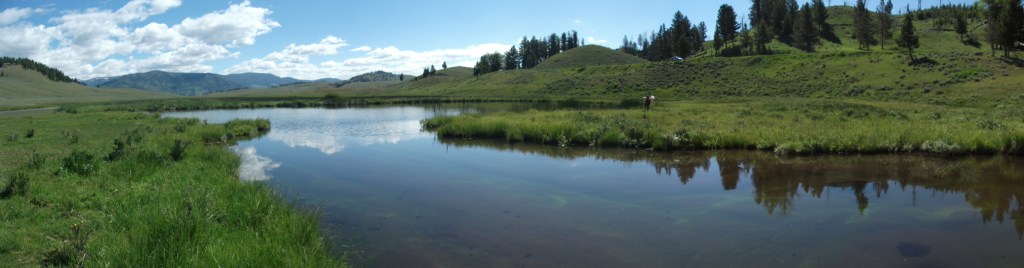 Blacktail Pond 1