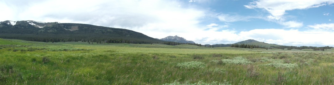 Gardiner River with Electric Peak