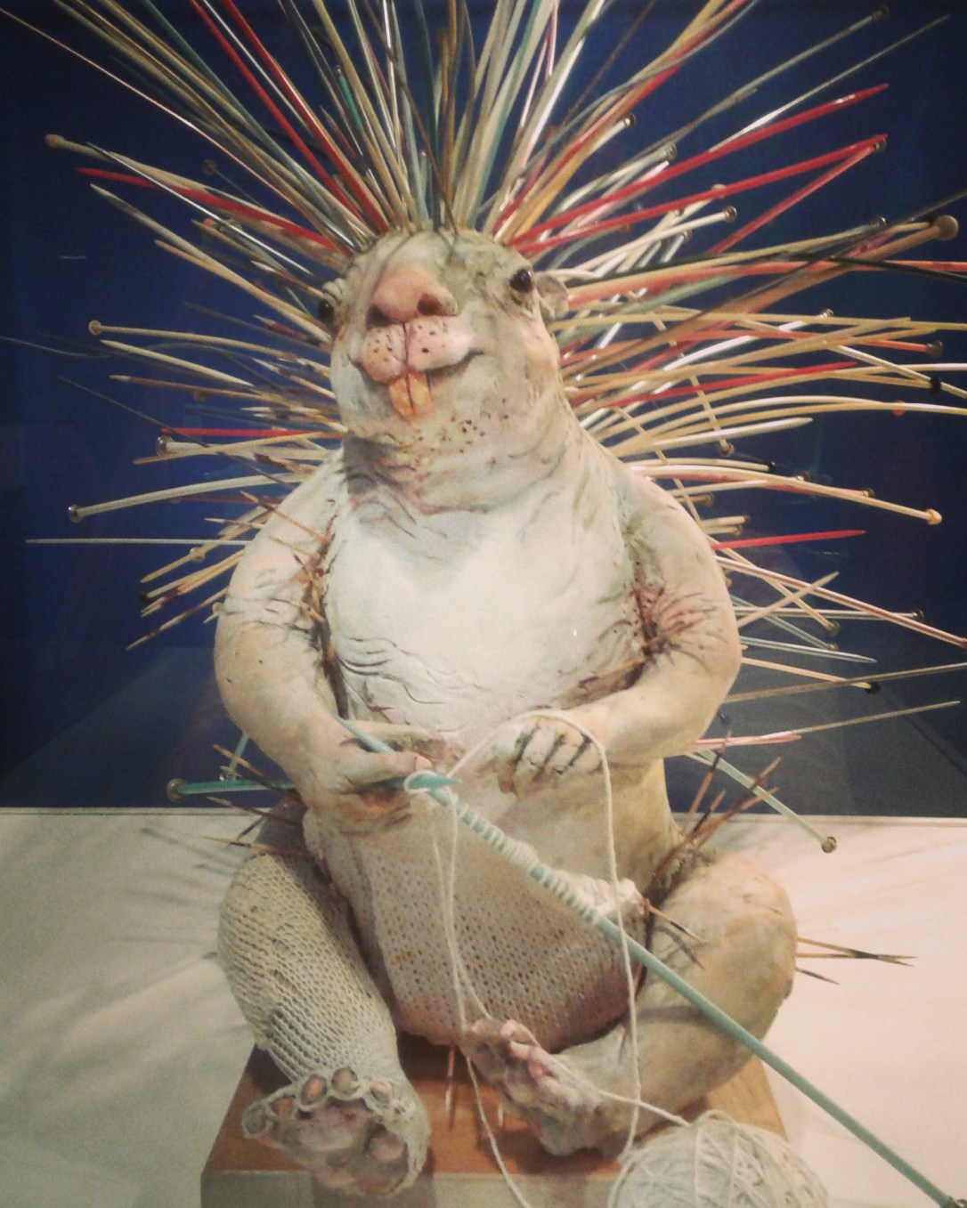 IMG_20170814_072445_430