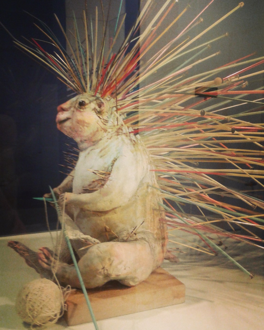 IMG_20170814_072547_577